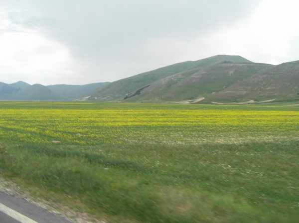 1605_5.jpg