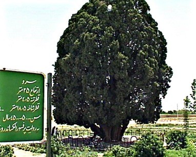 1606_8.jpg