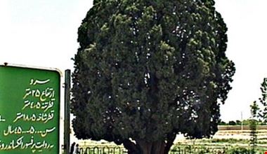 1606_8.jpg 1606_8.jpg