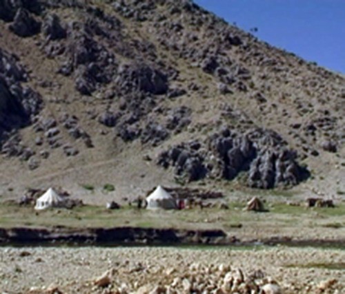 1610_1.jpg