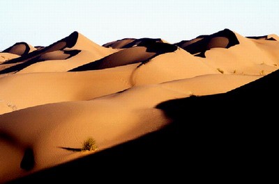 1610_11.jpg