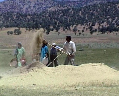 1610_6.jpg