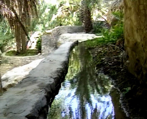 1611_16.jpg