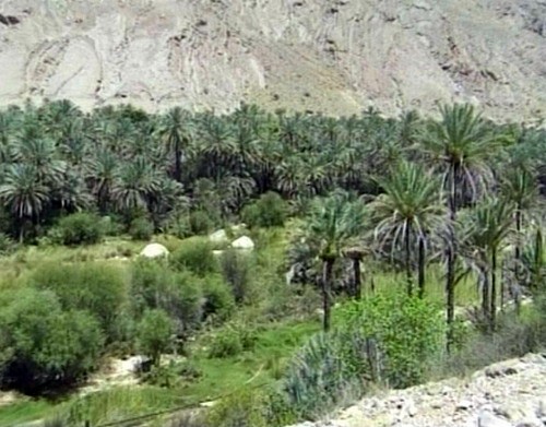 1611_17.jpg
