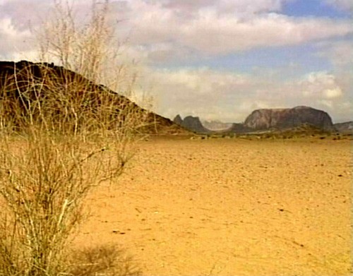 1611_19.jpg