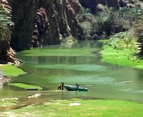 1611_2.jpg