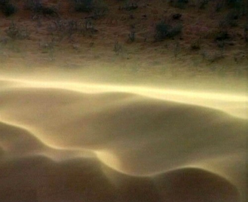 1611_20.jpg