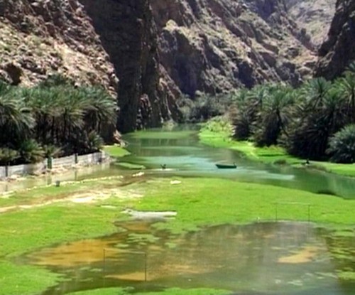 1611_4.jpg