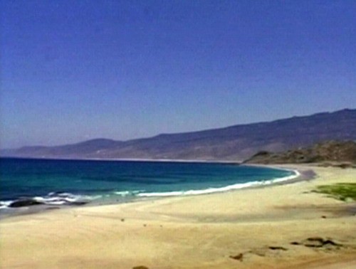 1611_6.jpg