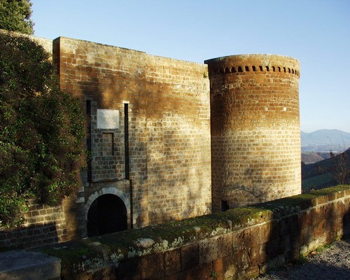 1615_24.jpg