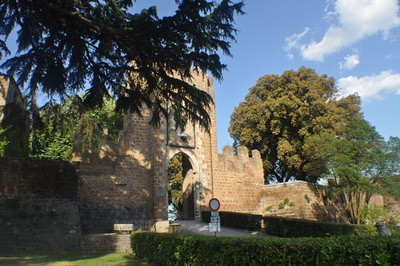 1615_25.jpg