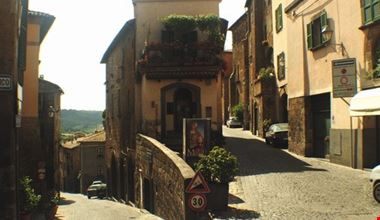 1617_14.jpg 1617_14.jpg