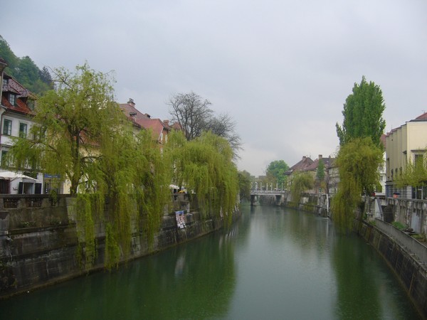 1618_3.jpg