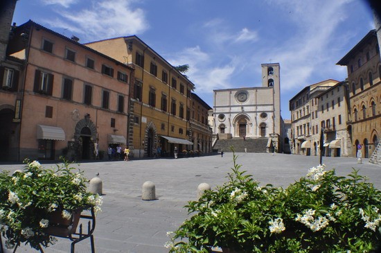 1620_11.jpg