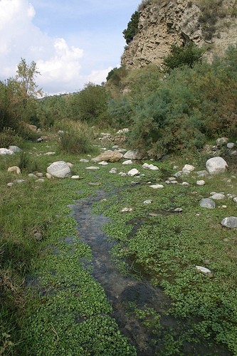 1628_3.jpg