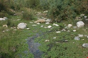 1628_3.jpg 1628_3.jpg