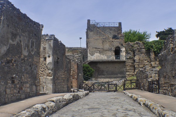 1644_11.jpg
