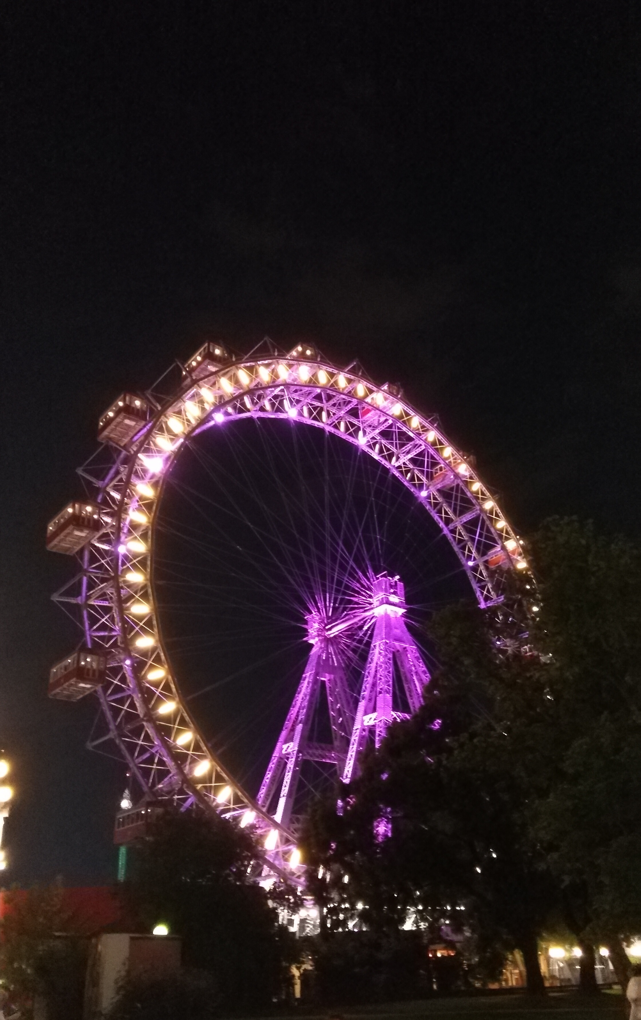 IMG_20180729_235949.jpg