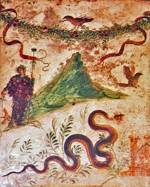 1651_11.jpg
