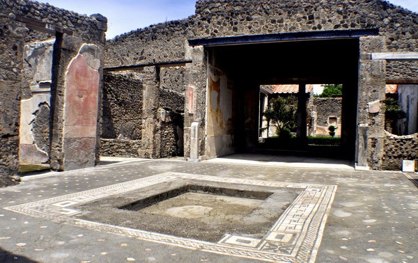 1651_3.jpg