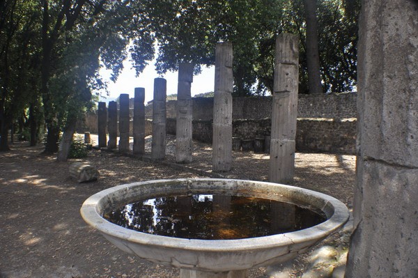 1652_1.jpg