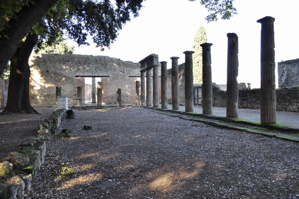 1652_2.jpg