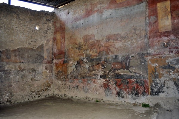 1652_20.jpg