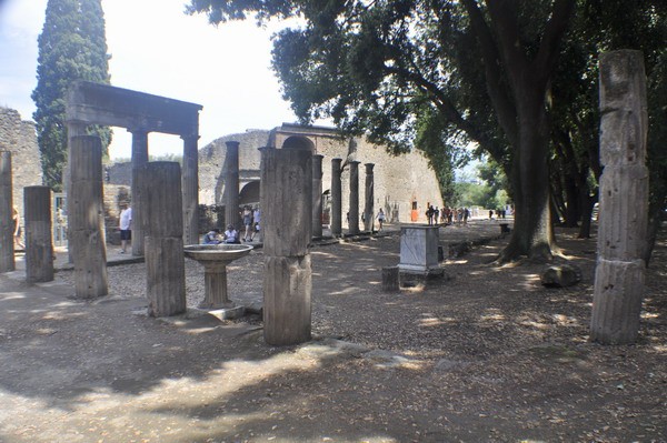 1652_4.jpg