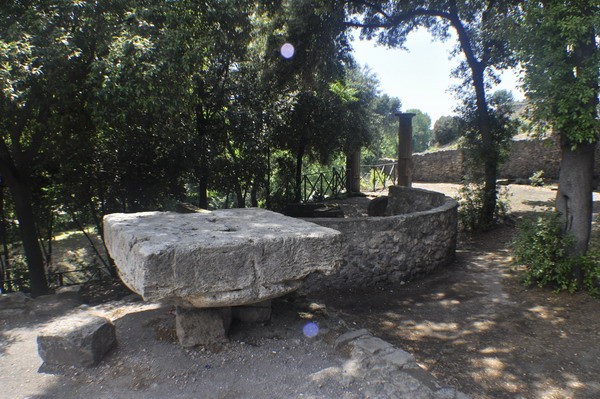 1652_5.jpg