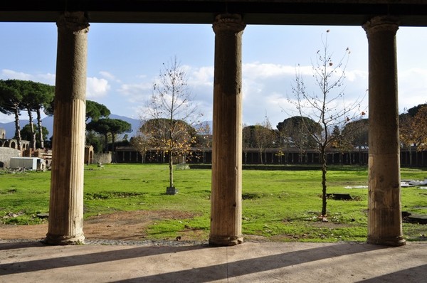 1654_16.jpg