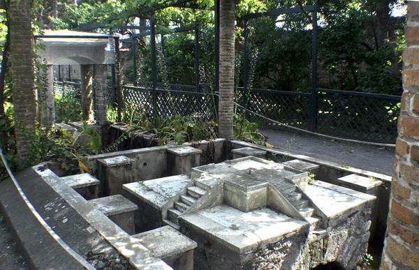 1654_2.jpg