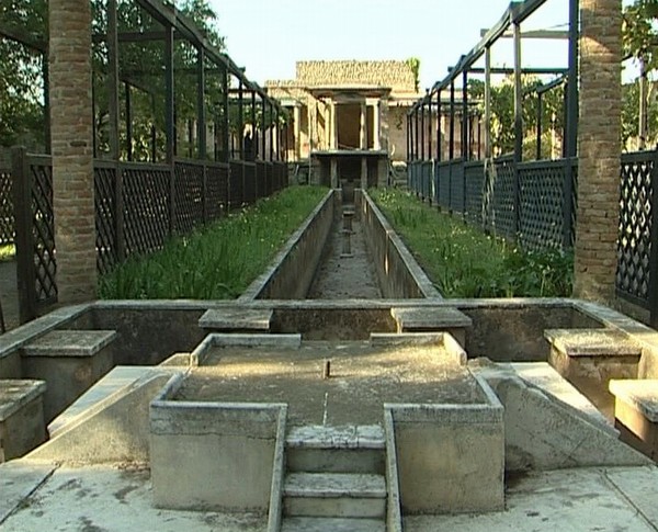 1654_4.jpg