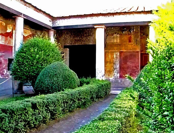 1654_6.jpg