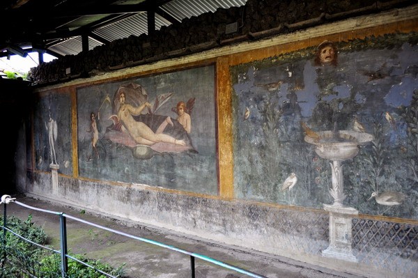 1654_7.jpg