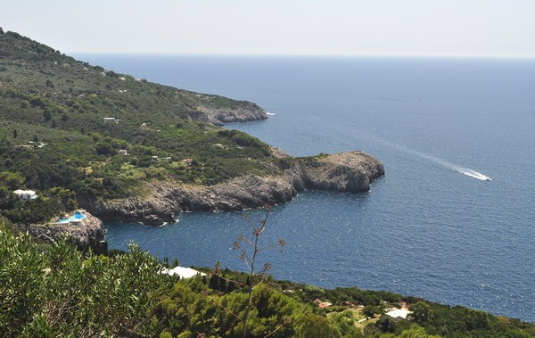 1655_13.jpg