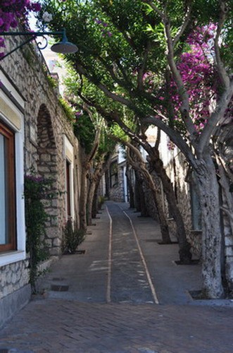 1655_24.jpg