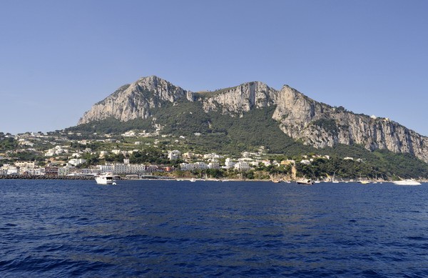 1655_8.jpg