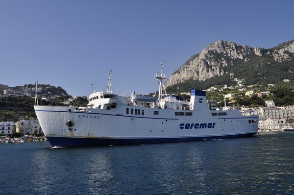 1656_14.jpg