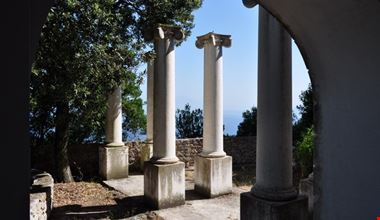 1659_13.jpg 1659_13.jpg