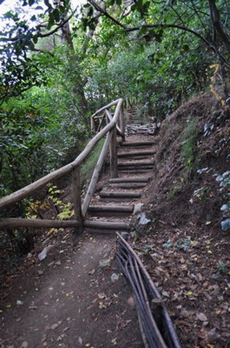 1659_14.jpg