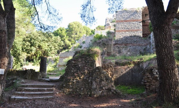 1659_3.jpg