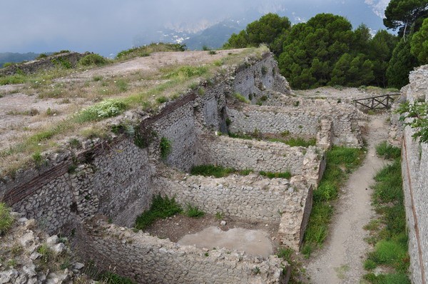 1659_6.jpg