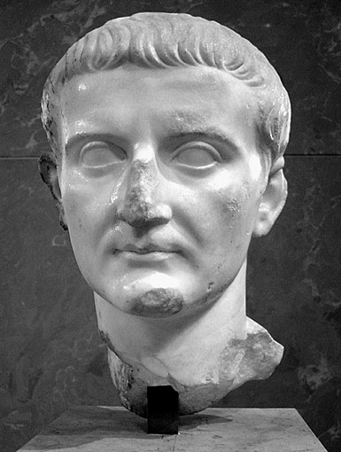 1659_9.jpg