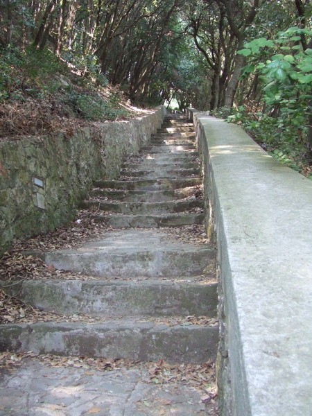 1660_14.jpg