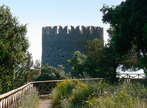 1660_16.jpg