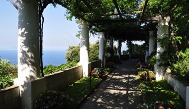 1660_28.jpg 1660_28.jpg