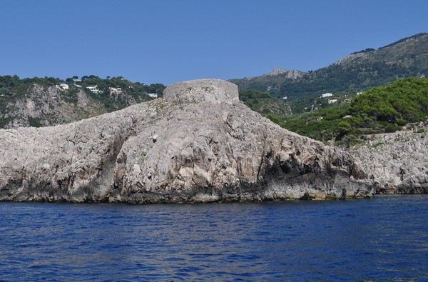 1661_10.jpg
