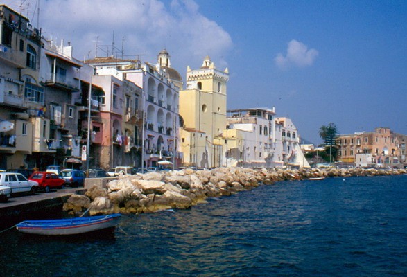 1667_4.jpg