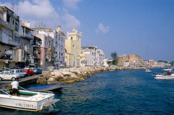 1667_7.jpg