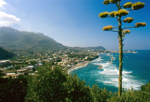 1670_15.jpg